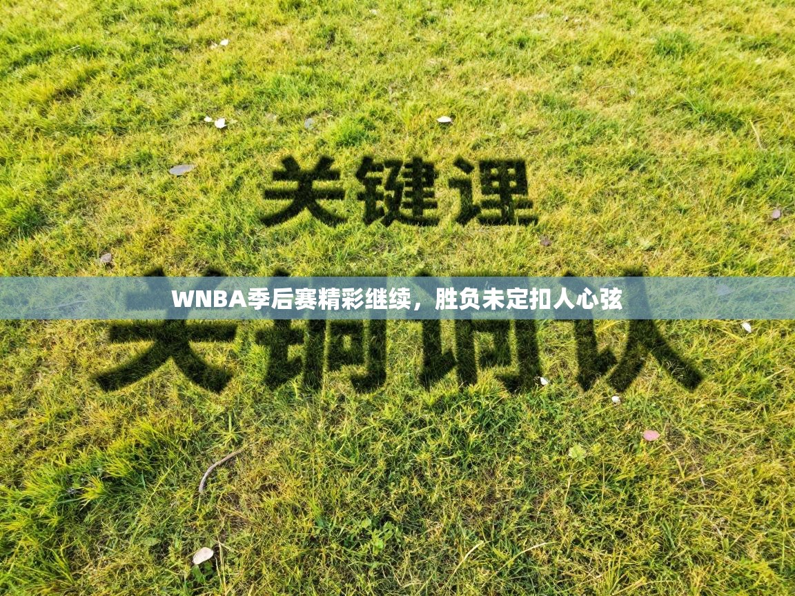 WNBA季后赛精彩继续，胜负未定扣人心弦  第2张