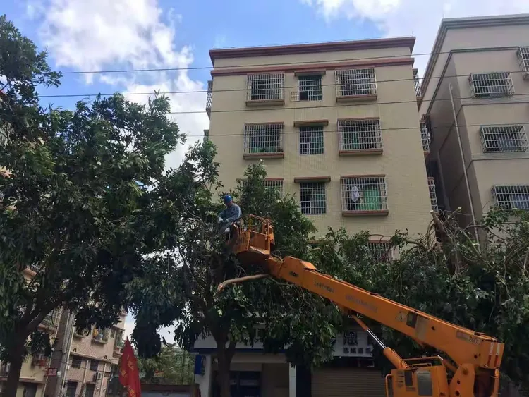 东莞中心主场告捷，望保持稳定状态(民心所向下一句是什么意思)